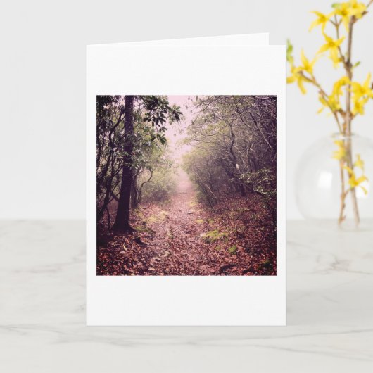 Loop in de Bossen Kaart (Gele Bloem)