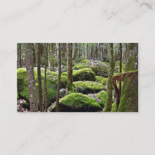 Loop in de Bossen Visitekaartjes (Voorkant)