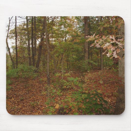 Loop in de Muismat Bossen (Voorkant)