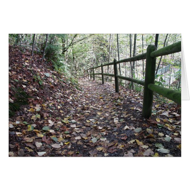 Loop in het park (Voorkant Horizontaal)