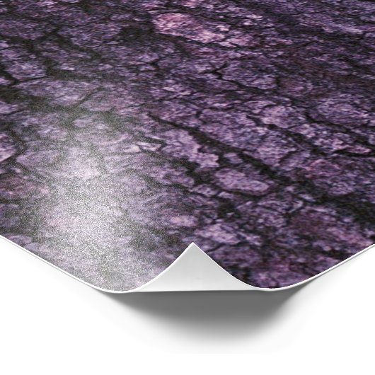 Loop in het park foto afdruk (Hoek)