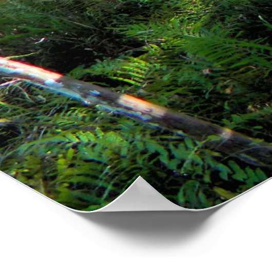 Loop in het Poster Bossen (Hoek)