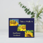 Loop in Sunflower Gardens Post Cards Sun Flowers Briefkaart (Staand voorkant)