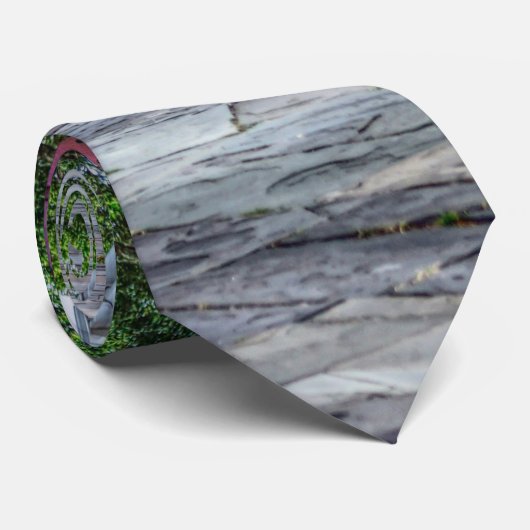 Loop langs de halsketting van Rainbow Row Stropdas (Opgerold)