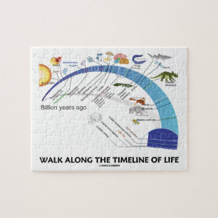 Loop langs de tijdlijn van de levensbiologie evolu legpuzzel