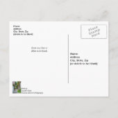 Loop langs Rainbow Row Dank u Briefkaart (Achterkant)