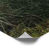 Loop op op de drukband poster (Hoek)