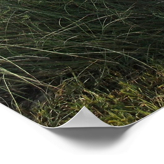 Loop op op de drukband poster (Hoek)