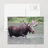 Loop op op een missie briefkaart (Voorkant / Achterkant)