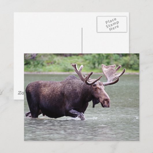 Loop op op een missie briefkaart (Voorkant / Achterkant)