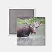 Loop op op een missie magneet (Voorkant / Achterkant)