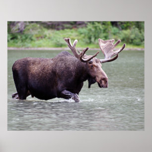 Loop op op een missie poster