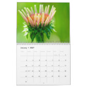 Loop tussen de zomerkalender voor wilde bloemen kalender (Jan 2027)