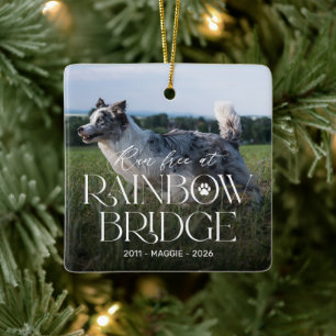 Loop vrij bij de Rainbow Bridge hondenherdenkingso Keramisch Ornament