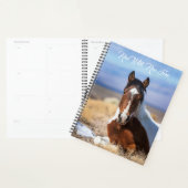 Loop Wild, looppas Vrije Planner (Display)