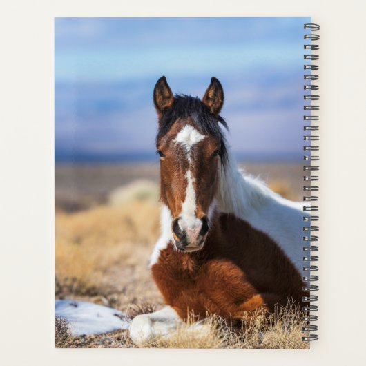 Loop Wild, looppas Vrije Planner (Achterkant)