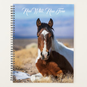 Loop Wild, looppas Vrije Planner