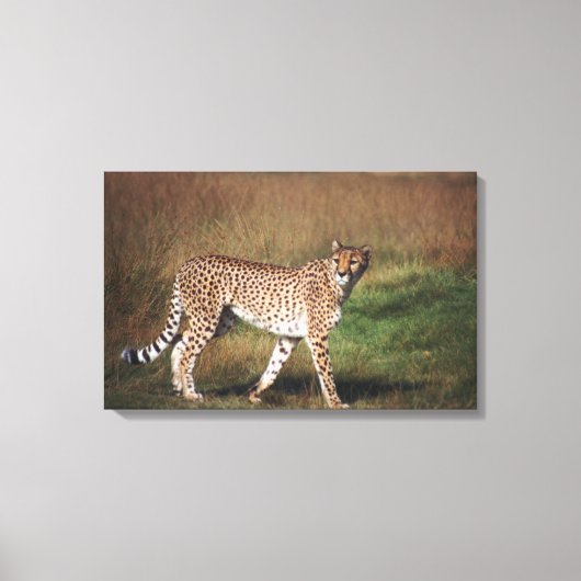 Loopard in vlakte canvas afdruk (Voorkant)