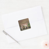 Loopard in vlakte vierkante sticker (Envelop)