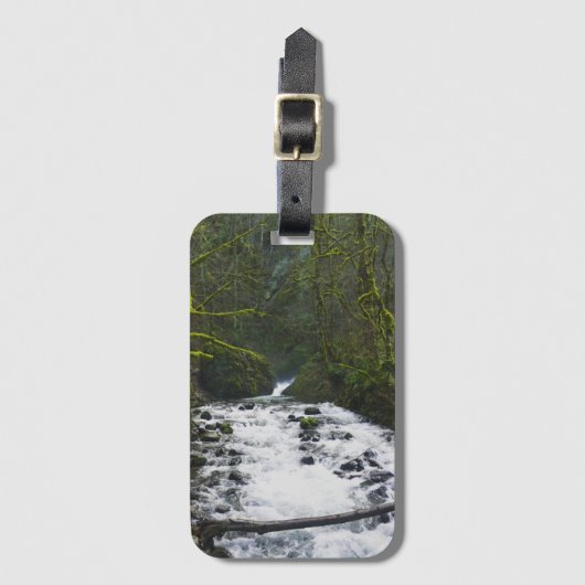 Loopbaan bij de Herfsten van Bridal Veil, OF Bagagelabel (Voorkant (verticaal))