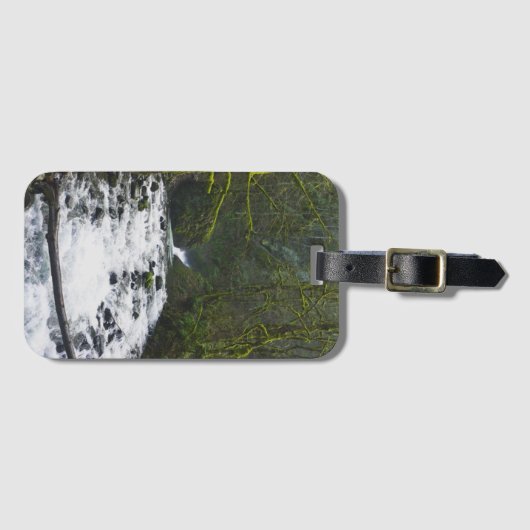 Loopbaan bij de Herfsten van Bridal Veil, OF Bagagelabel (Voorkant (horizontaal))