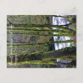 Loopbaan bij de Herfsten van Bridal Veil, OF Briefkaart (Voorkant)