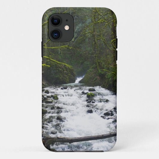Loopbaan bij de Herfsten van Bridal Veil, OF Case-Mate iPhone Case (Achterkant)