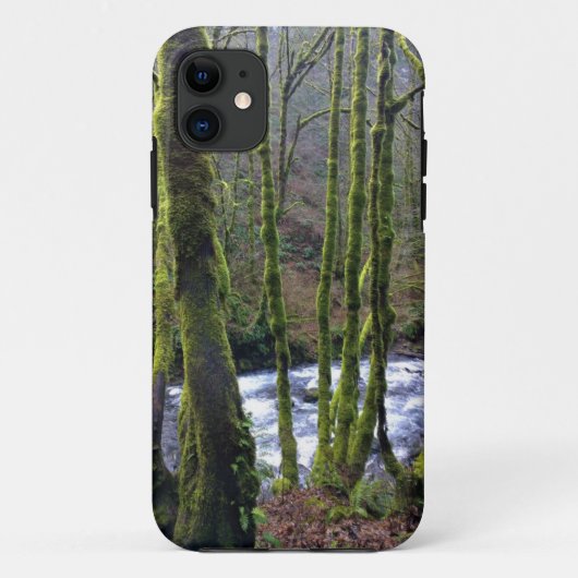 Loopbaan bij de Herfsten van Bridal Veil, OF Case-Mate iPhone Case (Achterkant)