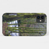Loopbaan bij de Herfsten van Bridal Veil, OF Case-Mate iPhone Case (Achterkant (horizontaal))