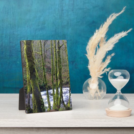 Loopbaan bij de Herfsten van Bridal Veil, OF Fotoplaat (Zijkant)