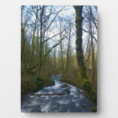 Loopbaan bij de Herfsten van Bridal Veil, OF Fotoplaat (voorkant)