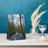 Loopbaan bij de Herfsten van Bridal Veil, OF Fotoplaat (Zijkant)