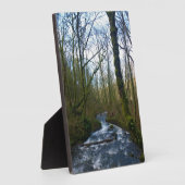 Loopbaan bij de Herfsten van Bridal Veil, OF Fotoplaat (Zijkant)