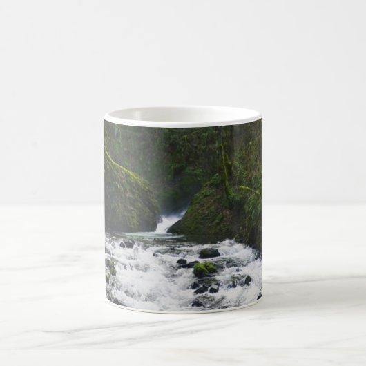 Loopbaan bij de Herfsten van Bridal Veil, OF Koffiemok (Center)