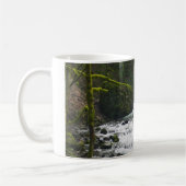 Loopbaan bij de Herfsten van Bridal Veil, OF Koffiemok (Links)