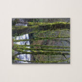 Loopbaan bij de Herfsten van Bridal Veil, OF Legpuzzel (Horizontaal)