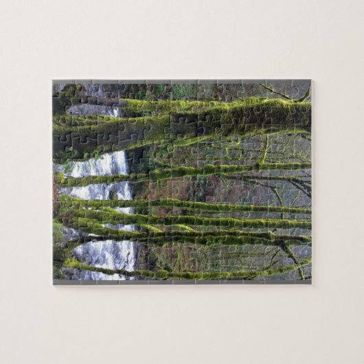 Loopbaan bij de Herfsten van Bridal Veil, OF Legpuzzel (Horizontaal)