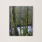 Loopbaan bij de Herfsten van Bridal Veil, OF Legpuzzel (Verticaal)