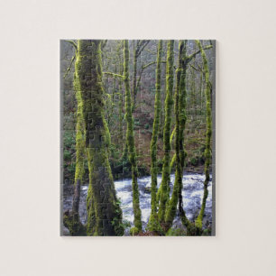 Loopbaan bij de Herfsten van Bridal Veil, OF Legpuzzel