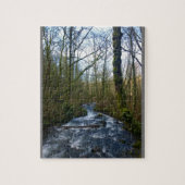 Loopbaan bij de Herfsten van Bridal Veil, OF Legpuzzel (Verticaal)