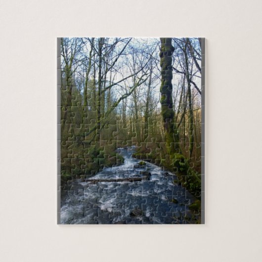 Loopbaan bij de Herfsten van Bridal Veil, OF Legpuzzel (Verticaal)