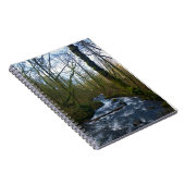 Loopbaan bij de Herfsten van Bridal Veil, OF Notitieboek (Rechterzijde)