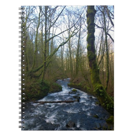 Loopbaan bij de Herfsten van Bridal Veil, OF Notitieboek (Voorkant)