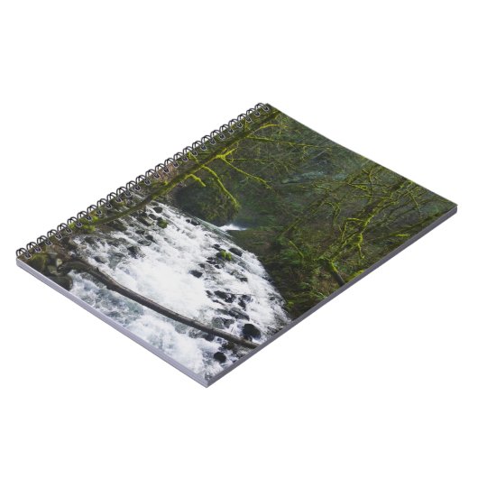 Loopbaan bij de Herfsten van Bridal Veil, OF Notitieboek (Linkerzijde)