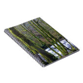 Loopbaan bij de Herfsten van Bridal Veil, OF Notitieboek (Rechterzijde)