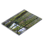 Loopbaan bij de Herfsten van Bridal Veil, OF Notitieboek (Linkerzijde)