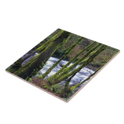 Loopbaan bij de Herfsten van Bridal Veil, OF Tegeltje (Zijkant)