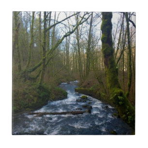 Loopbaan bij de Herfsten van Bridal Veil, OF Tegeltje