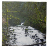 Loopbaan bij de Herfsten van Bridal Veil, OF Tegeltje (Voorkant)