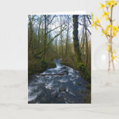Loopbaan van de Herfsten van Bridal Veil, Oregon Kaart (Gele Bloem)
